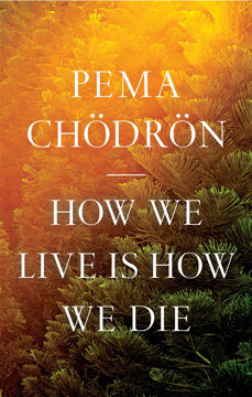Bild på How We Live Is How We Die