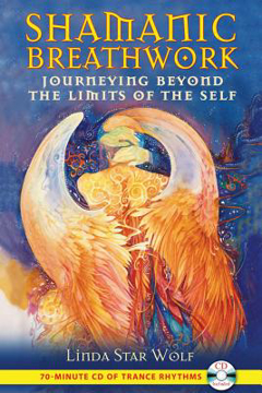 Bild på Shamanic Breathwork: Journeying Beyond The Limits Of The Self (Includes Audio Cd)