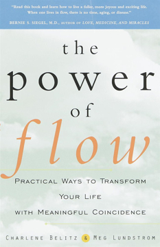 Bild på The Power of Flow
