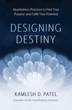 Bild på Designing Destiny