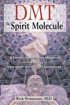 Bild på Dmt : the spririt molecule - a doctors revolutionary research into the biol