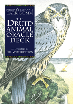 Bild på Druid Animal Oracle Deck Reissue
