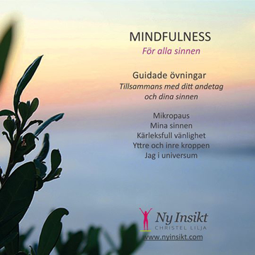 Bild på Mindfulness : för alla sinnen