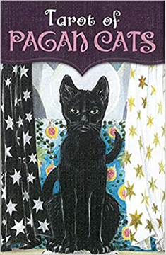 Bild på Pagan Cats Tarot Mini (new edition)