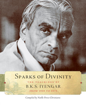 Bild på Sparks of Divinity