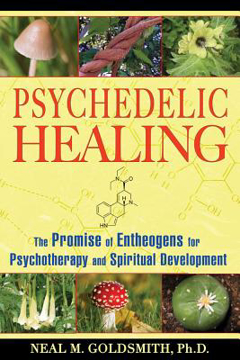 Bild på Psychedelic Healing: The Promise Of Entheogens For Psychotherapy & Spiritual Development