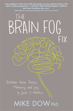 Bild på Brain fog fix - reclaim your focus, memory and joy in just 3 weeks