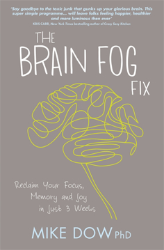 Bild på Brain fog fix - reclaim your focus, memory and joy in just 3 weeks