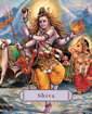 Bild på Shiva: Lord Of The Dance (Pocket-Sized) (H)