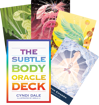 Bild på The Subtle Body Oracle Deck