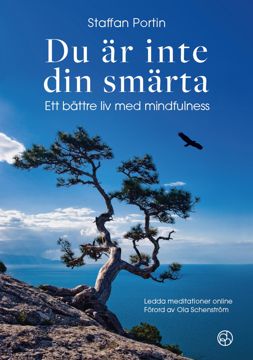 Bild på Du är inte din smärta : ett bättre liv med mindfulness