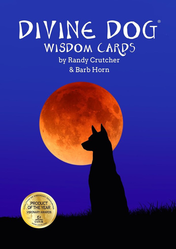 Bild på DivineDog WisdomCards: Includes 63 Full-Color Cards with Guidebook