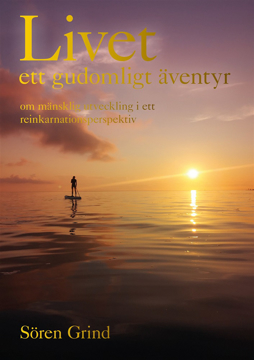 Bild på Livet – ett  gudomligt äventyr : om mänsklig utveckling i ett reinkarnationsperspektiv