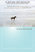 Bild på Untethered soul - the journey beyond yourself