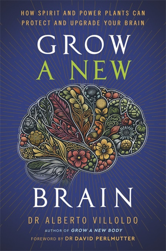 Bild på Grow a New Brain: How Spirit and Power Plants Can Protect and Upgrade Your Brain