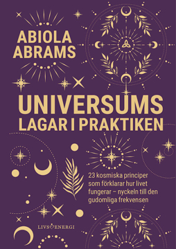 Bild på Universums lagar i praktiken : 23 kosmiska principer som förklarar hur lviet fungerar - nyckeln till den gudomliga frekvensen