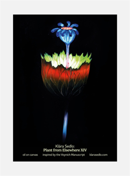 Bild på Plant From Elsewhere XIV - postcard