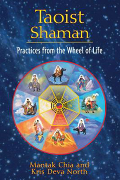 Bild på Taoist Shaman: Practices From The Wheel Of Life