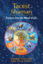 Bild på Taoist Shaman: Practices From The Wheel Of Life