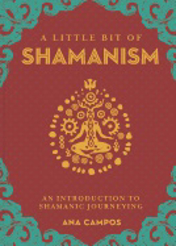 Bild på A Little Bit of Shamanism: An Introduction to Shamanic Journeying
