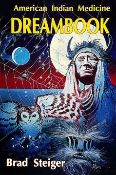 Bild på American indian medicine dream book
