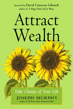 Bild på Attract Wealth : Take Charge of Your Life