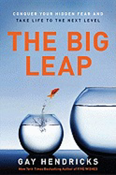Bild på Big leap - conquer your hidden fear and take life to the next level