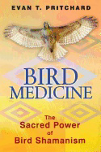 Bild på Bird Medicine : The Sacred Power of Bird Shamanism
