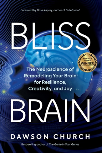 Bild på Bliss Brain
