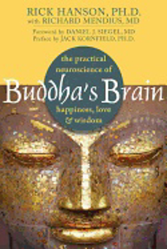 Bild på Buddhas brain - the practical neuroscience of happiness, love, and wisdom
