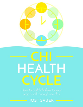 Bild på Chi Health Cycle