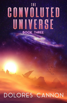 Bild på Convoluted universe: book three