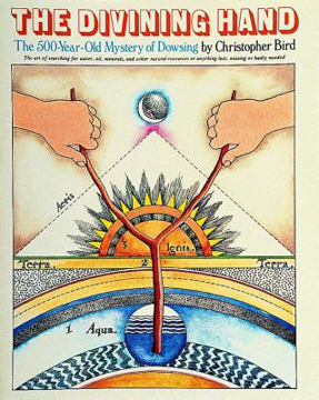 Bild på Divining Hand: The 500-Year-Old Mystery Of Dowsing (O)