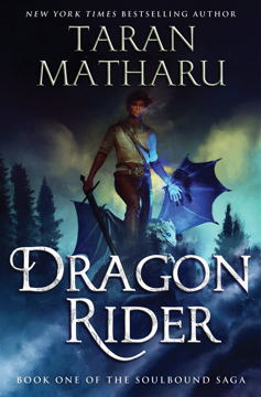 Bild på Dragon Rider: A Novel