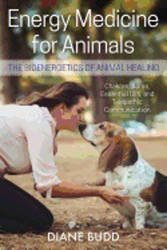 Bild på Energy Medicine For Animals