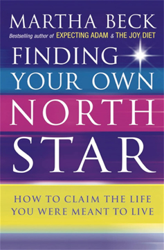 Bild på Finding your own north star - how to claim the life you were meant to live
