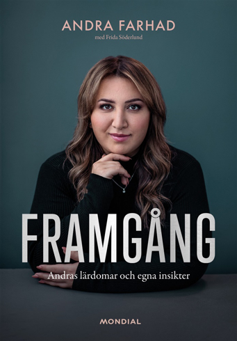 Bild på Framgång : andras lärdomar och egna insikter