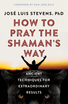 Bild på How To Pray The Shaman's Way