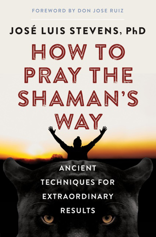 Bild på How To Pray The Shaman's Way