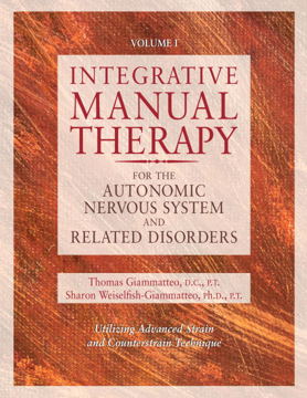Bild på Integrative Manual Therapy for the Autonomic Nervous System and Related Disorder