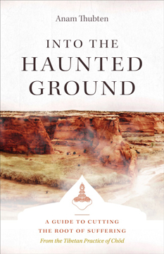 Bild på Into the Haunted Ground