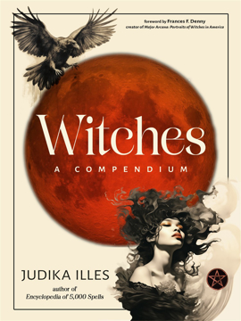 Bild på Witches: A Compendium