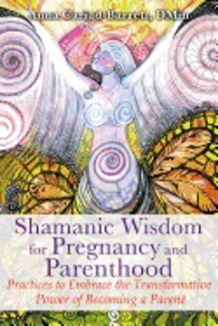 Bild på Shamanic wisdom for pregnancy and parenthood - practices to embrace the tra