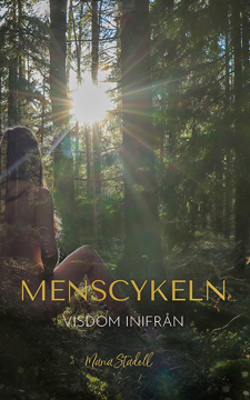 Bild på Menscykeln : visdom inifrån