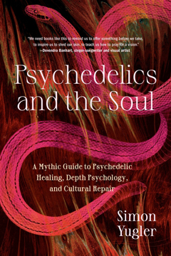 Bild på Psychedelics and the Soul: A Mythic Guide to Psychedelic Healing, Depth Psychology, and Cultural Repair