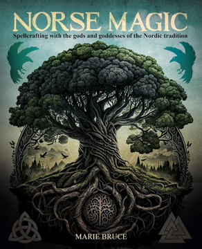 Bild på Norse Magic