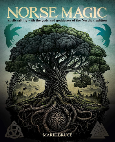Bild på Norse Magic