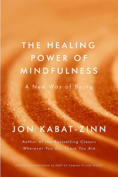 Bild på The Healing Power of Mindfulness
