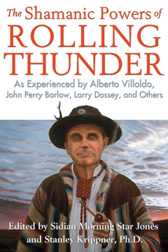 Bild på Shamanic powers of rolling thunder - as experienced by alberto villoldo, jo