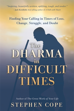 Bild på The Dharma in Difficult Times